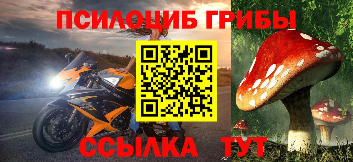 Псилоцибиновые грибы GOLDEN TEACHER  Псилоцибиновые грибы MAGIC MUSHROOMS  Вход с VPN  Бор 